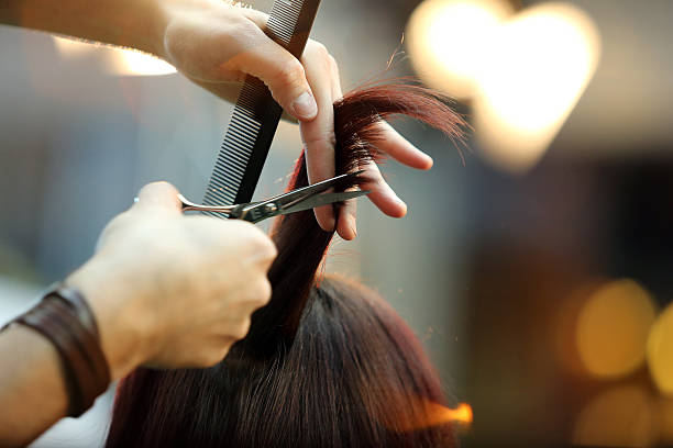 Guia Completo dos Melhores Secadores de Cabelo: Tudo o que Você Precisa Saber Antes de Escolher o Seu!